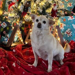 🤩🤩SALE-MAKE OFFERS ON ANYTHING IN MY CLOSET🤩🤩